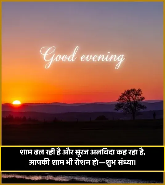 Good Evening Shayari