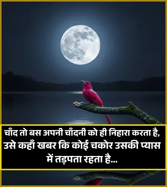 Moon Shayari Moon Shayari