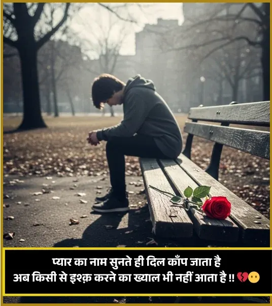 No Love Shayari
