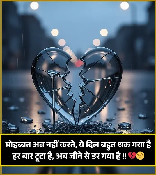 No Love Shayari