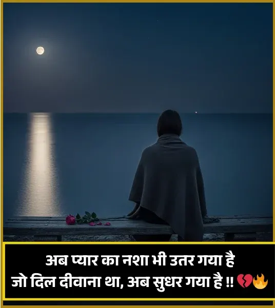 No Love Shayari